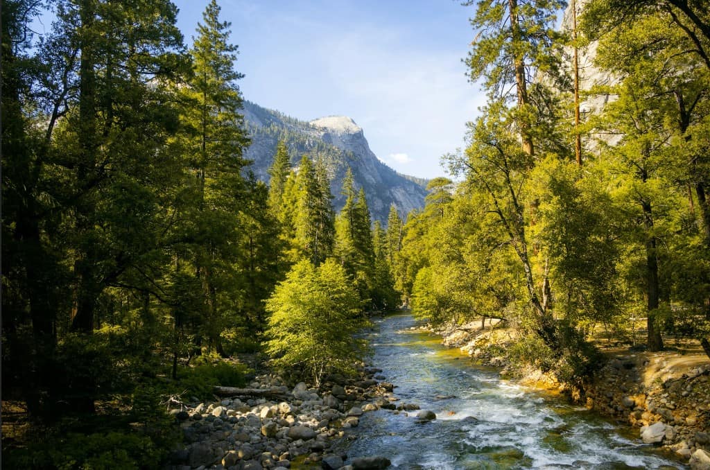 Original summer river landscape used as the starting image for a Photoshop Dynamic Layer Add snow edit